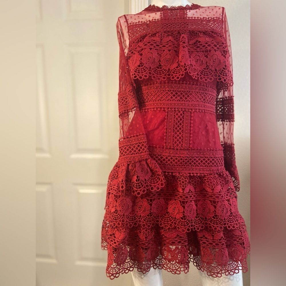 L & F~NWT~Lovely~Tiered Ruffle~Sheer Netting~Embroidered Lace~Mini Dress~Size S - Picture 4 of 15